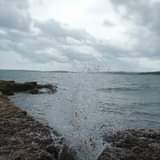 Ana Zgrinskić Mitrović